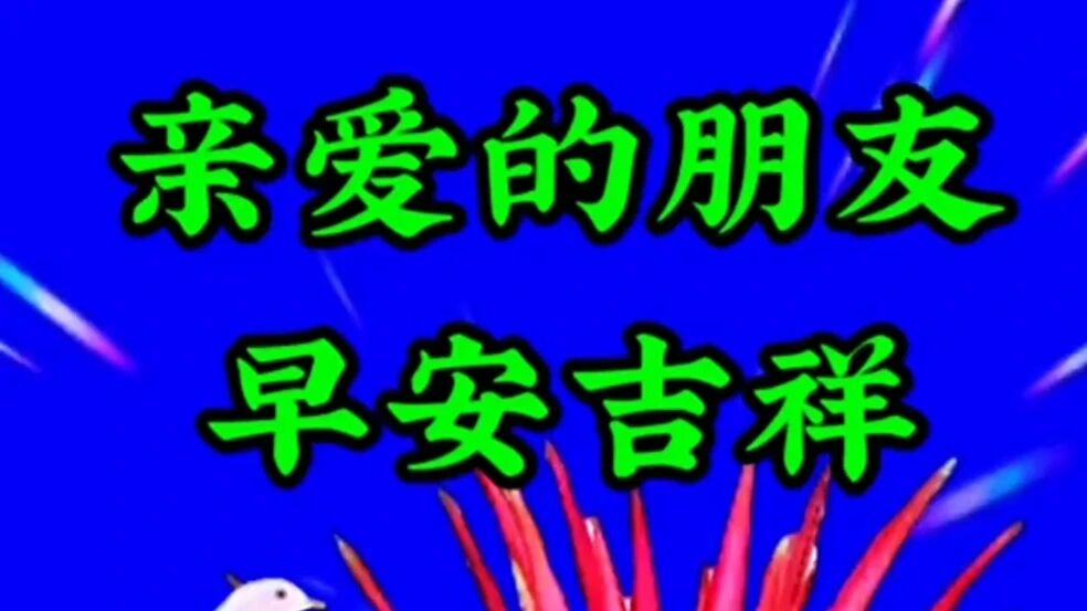 不用打字就可以聊天的图片【中】