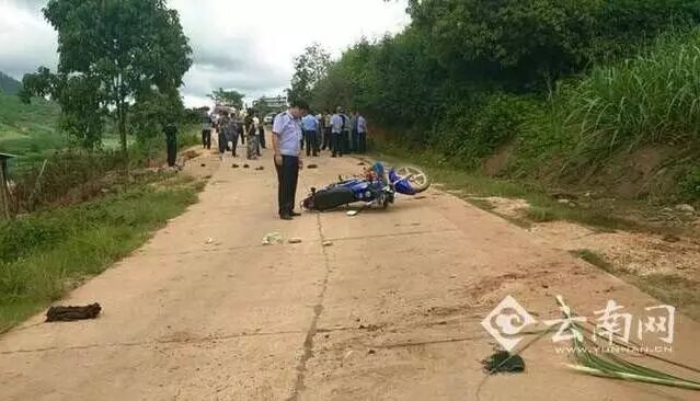 太任性!一家三口不听劝阻骑摩托穿越野象区,遭象群围攻!丈夫弃车逃脱,妻儿遇难&hellip;&hellip;