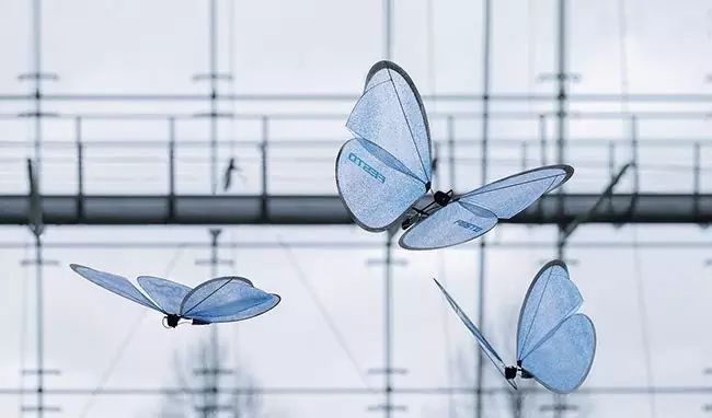 费斯托(festo)公司的仿生蝴蝶,图片来源:清华大学艺术博物馆