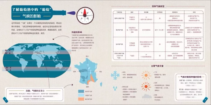 圖解 | 一瓶葡萄酒到底是怎么釀造出來(lái)的? 圖解 | 一瓶葡萄酒到底是怎么釀造出來(lái)的?