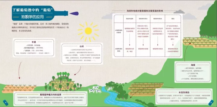 图解 | 一瓶葡萄酒到底是怎么酿造出来的？