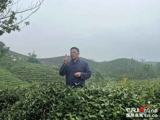 “豫”见美丽 水美南湾——探访信阳市守护