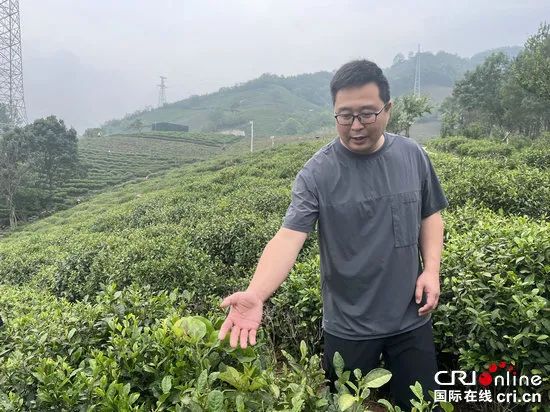 “豫”见美丽 水美南湾——探访信阳市守护