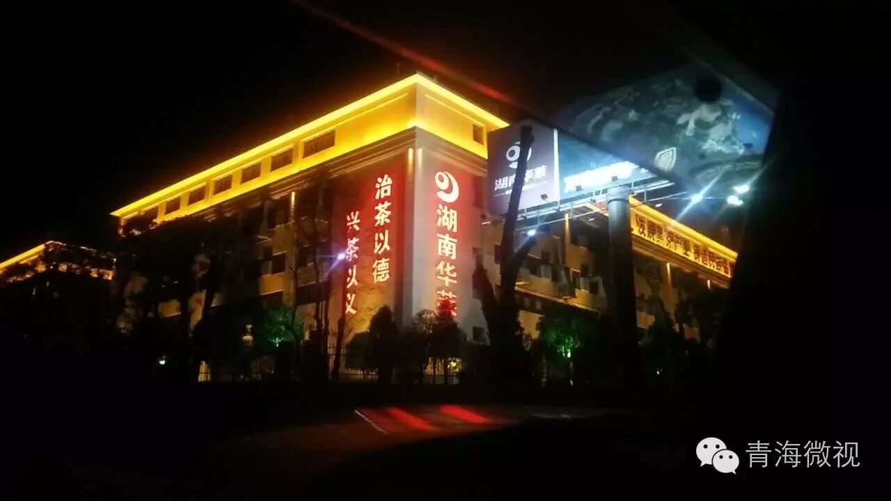 回顾：第五届中国—亚欧博览会，华莱黑茶惊艳全场！