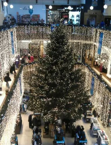 【腐國攻略】愛丁堡的旅游、購物、娛樂、美食。