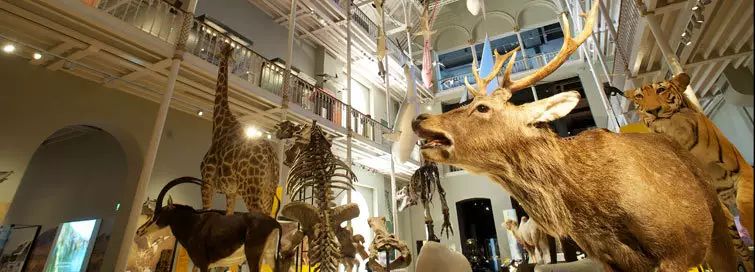 【腐國攻略】愛丁堡的旅游、購物、娛樂、美食。