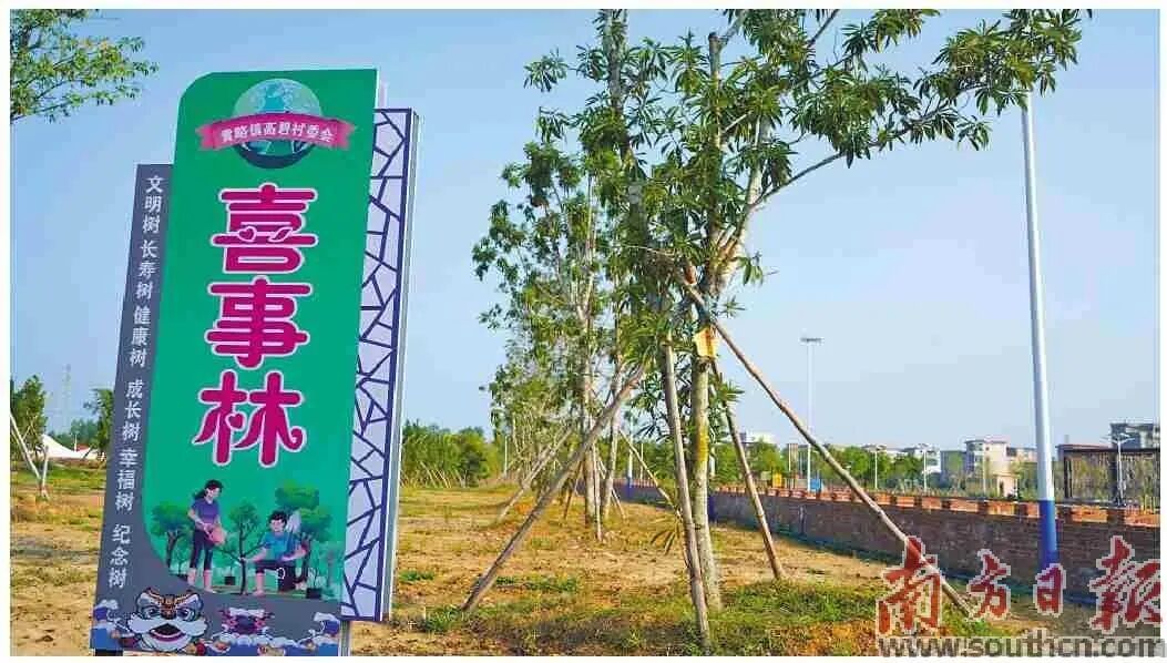 高碧村内的喜事林。