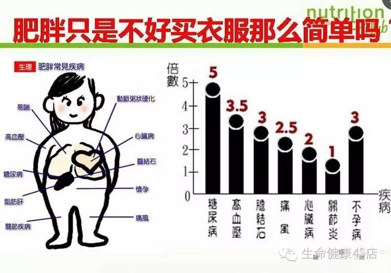 待你厌倦脑满肠肥,中秋随我辟谷排毒可好?