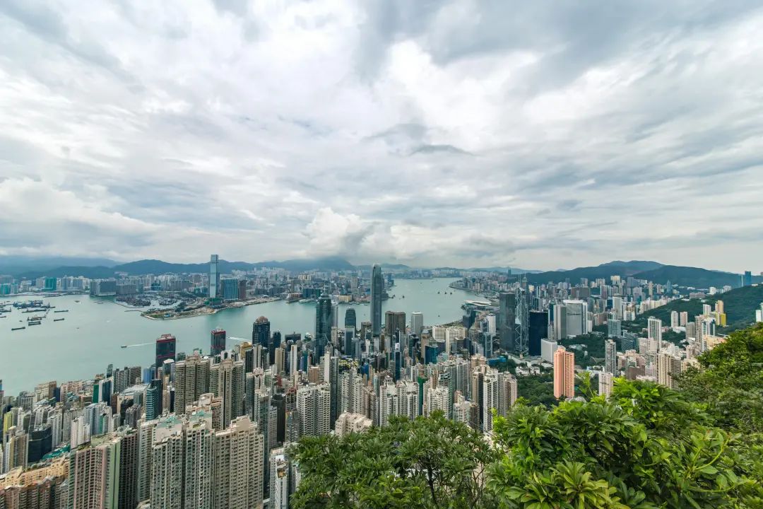 免费 海洋附近的城市建筑和绿树 素材图片