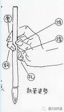 练习毛笔字不能像写钢笔字一样执笔,毛笔的执笔很重要,一定要