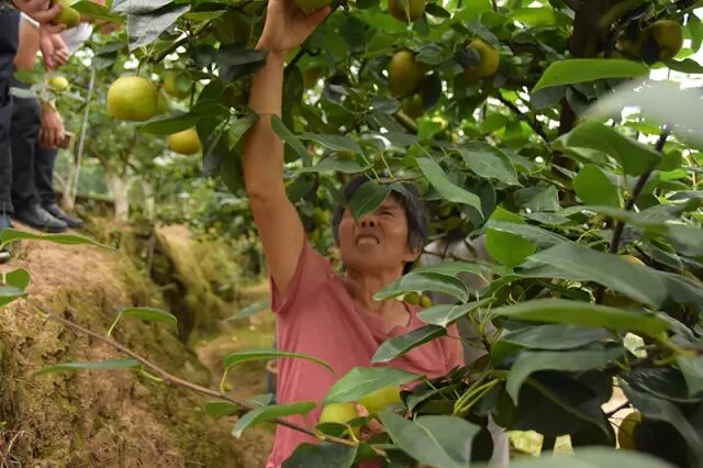 亲睦家老年医院爱心下乡到巴中