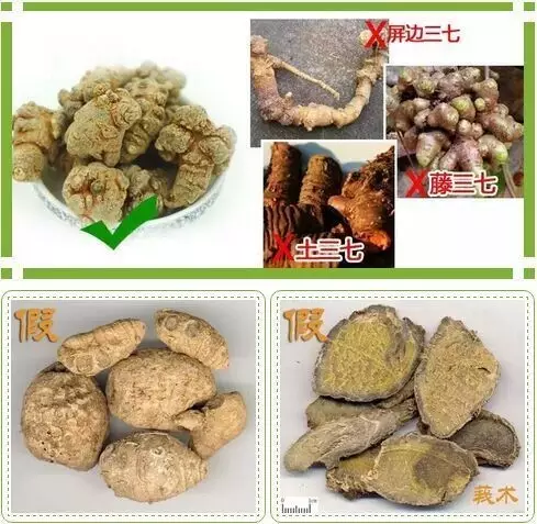 真 or 假三七如何鉴别