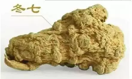 真 or 假三七如何鉴别