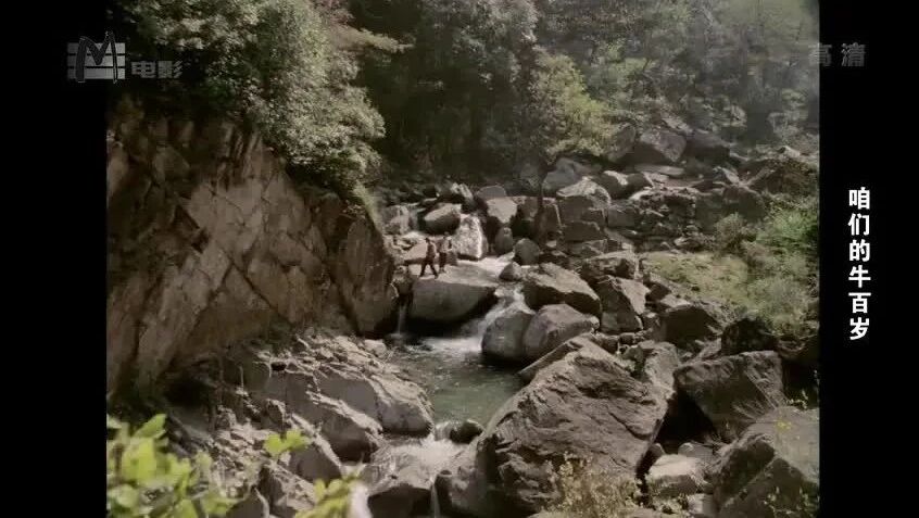 【老电影】《咱们的牛百岁》（1983）