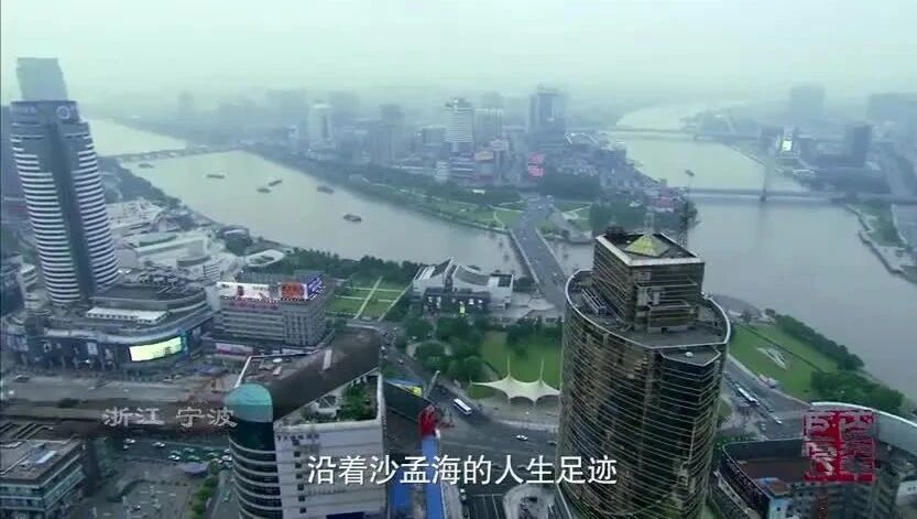 往期精彩：语文数学英语微课视频大合集（点击查看）⭐纪录片《百年巨匠》书法·沙孟海