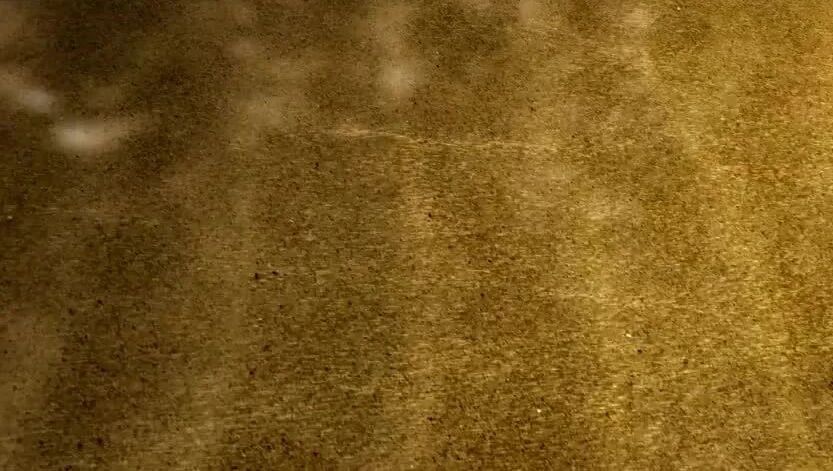 往期精彩： 纪录片《毛泽东1949》合集（共10集）⭐纪录片《百年巨匠》中医·汪逢春