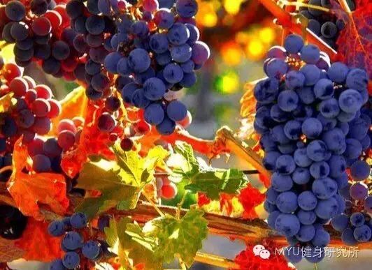 关于怀孕期间怎么吃,值得你知道的都在这儿!-怀孕期