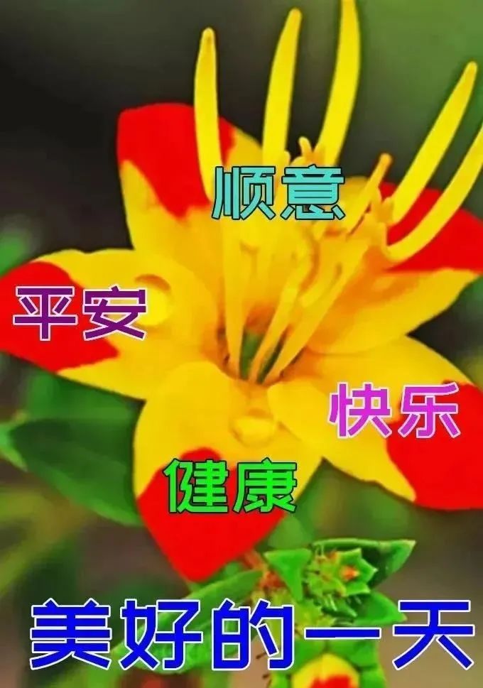 中老年表情包轻轻问候满满祝福健康常伴