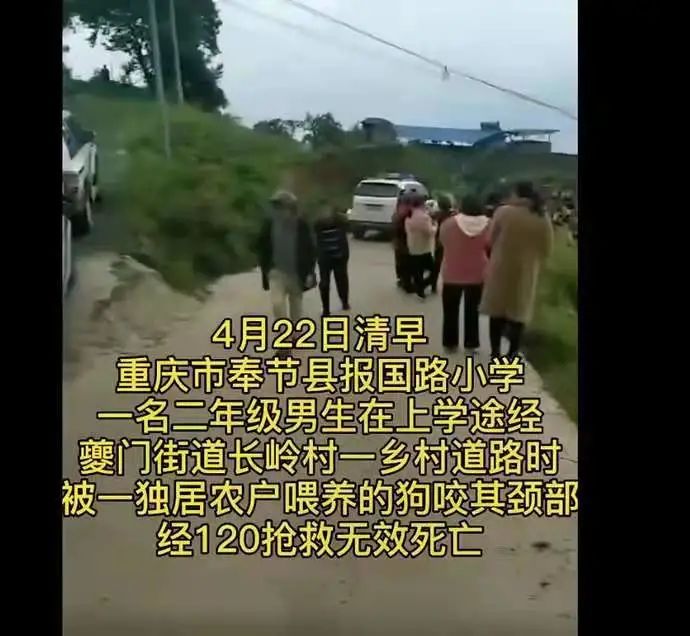 重庆8岁男童惨死街头，他的悲剧，给所有人提了个醒!
