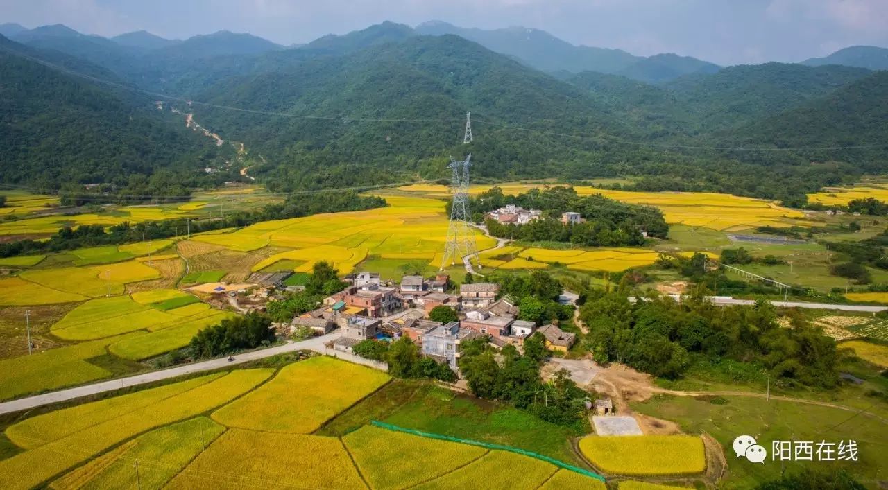 【阳西:塘口"醉美"乡村,真的好美!