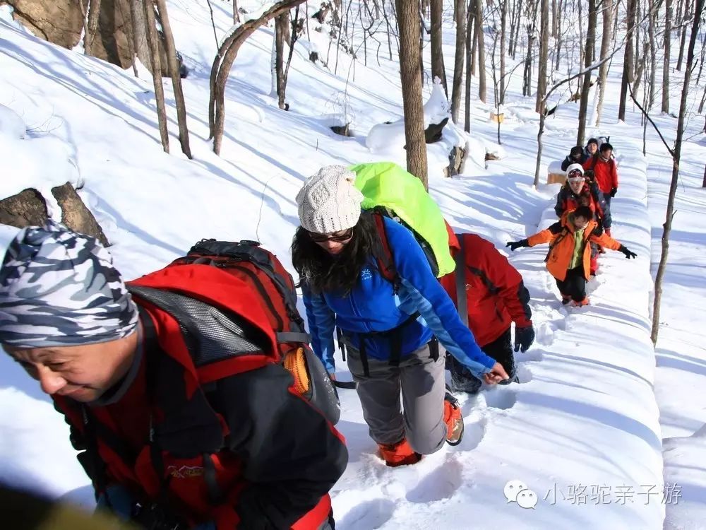 穿越林海雪原滑雪亚布力美食火炕雪塑冰爬犁雪地温泉