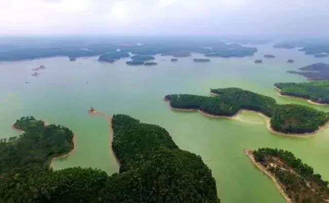 合浦"后花园—南国星岛湖 yedai33882的主页