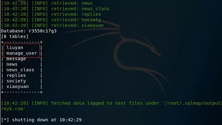 Example Image