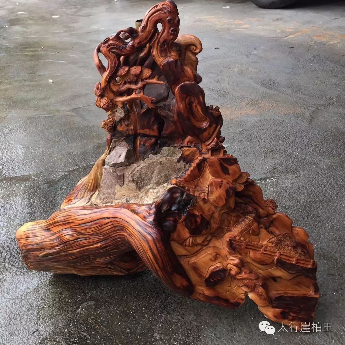 转疯了!崖柏的奇特功效都有哪些?