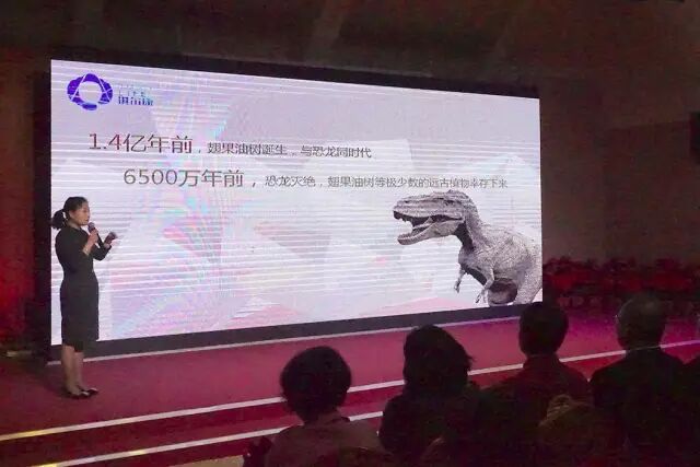 ��������� ˳�������������к�ʢ��¡�ؾ���