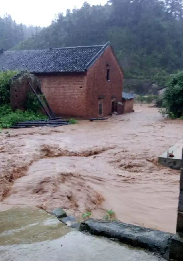 "进村道路完全封闭,村里已经有9户住户进水,水深已经没过膝盖