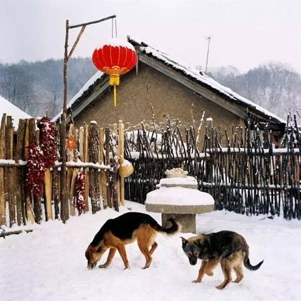 八九十年代东北农村,感动的我心都哭了!