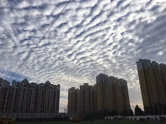 ▲传闻中的“地震云”。图片来自网络