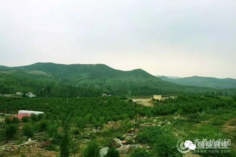 南泉山上种植的土质为青石山冲积母质形成的红壤土