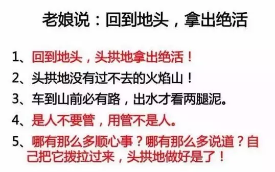 王育琨:回到生命的大根,头拱地拿出绝活 - 王育琨 - 王育琨 王育琨:回到生命的大根,头拱地拿出绝活 - 王育琨 - 王育琨