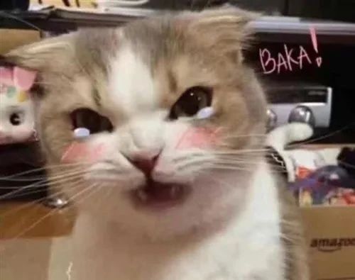 广东读工商管理专业以后是做什么工作的