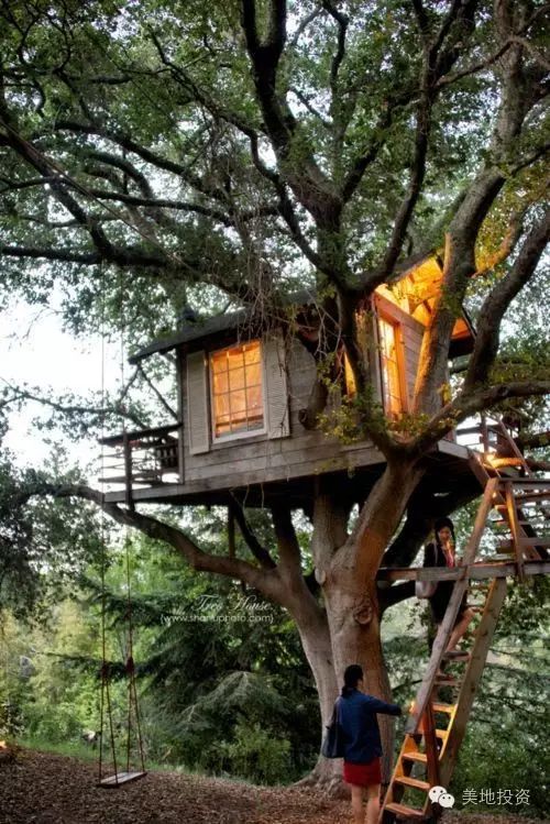 旧金山湾区最火爆的树屋,住在树上是什么感觉?