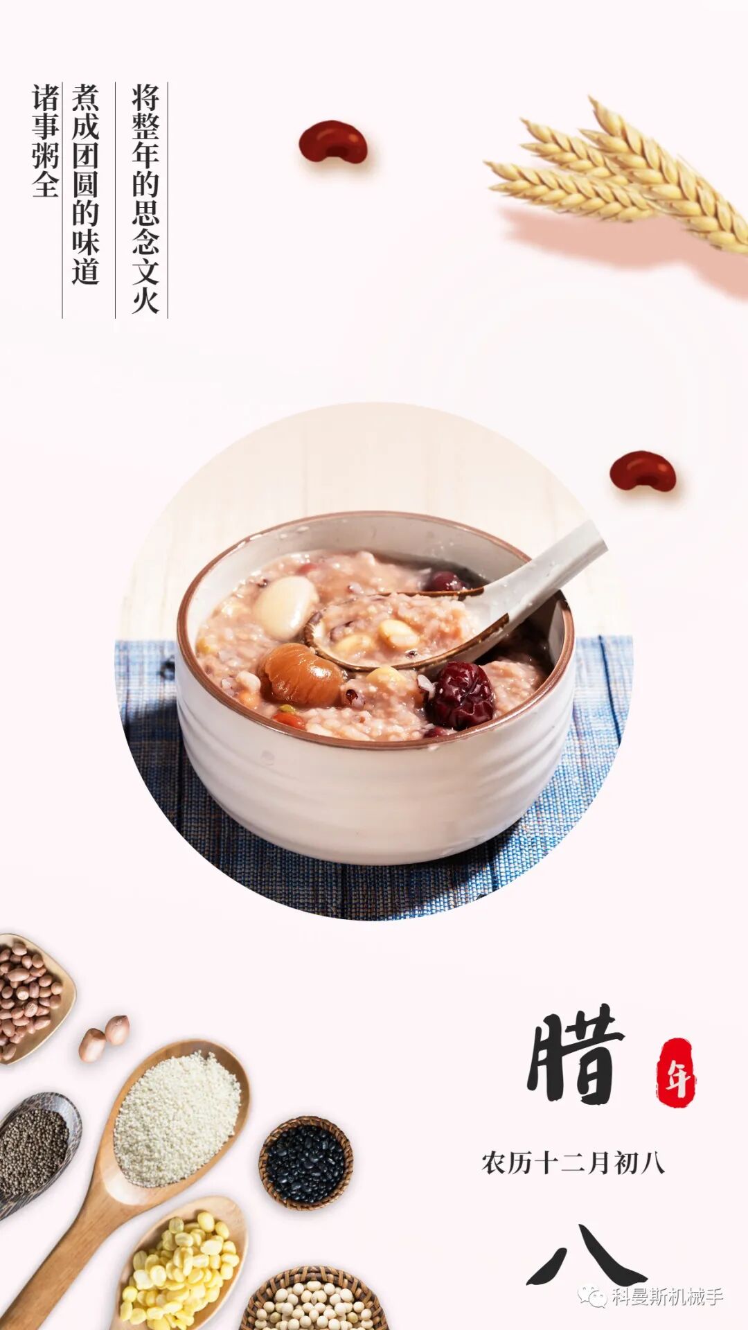 樱花动漫APP在线观看免费高清最新剧樱花视频在线免费观看臘八節