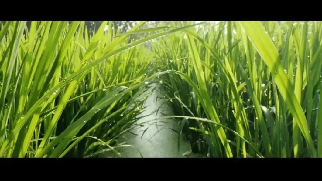 【微视频：和自己赛跑】⭐请您欣赏‖歌曲：李宗盛《和自己赛跑的人》-2