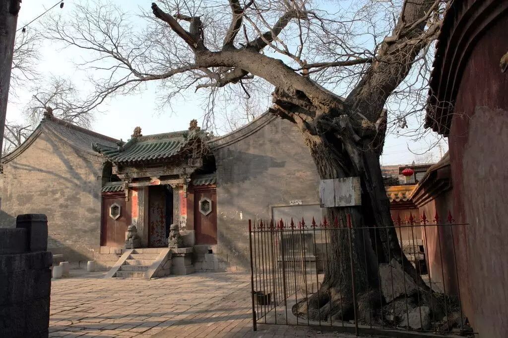 20170611105539_cfu56h2y6x.jpg?v=1762008525911