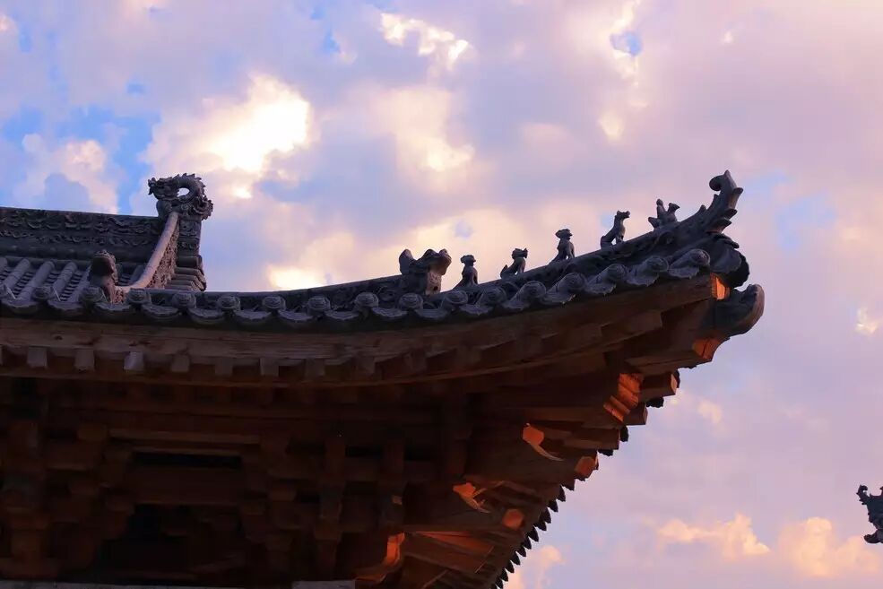 20170611105539_p8n5pv0t7p.jpg?v=1762008525911