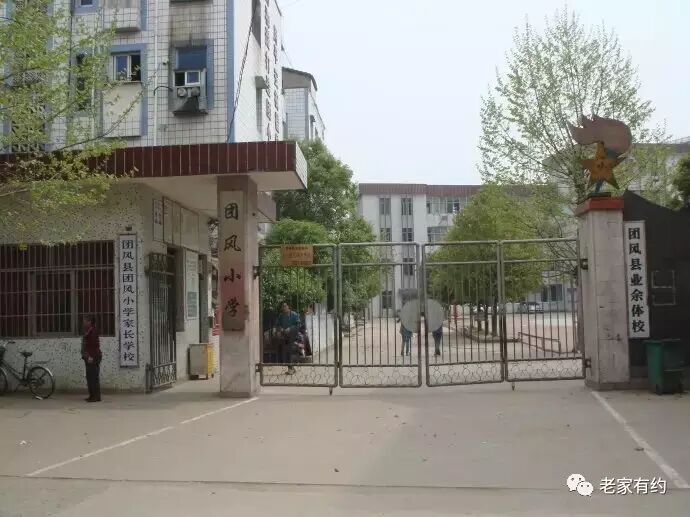 20170521102414_5ejojy4q9j.png?v=1762008528390