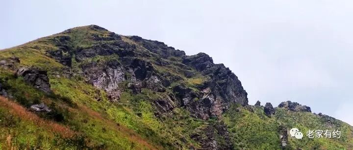 20170610113248_g0iuglm88a.jpg?v=1762008527895