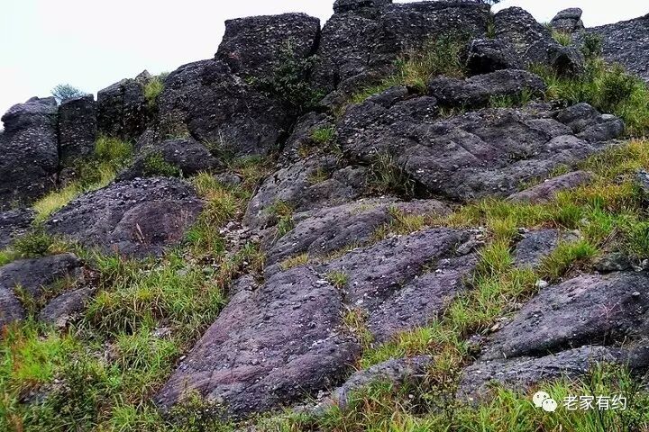 20170610113248_xs4e86qd82.jpg?v=1762008527895