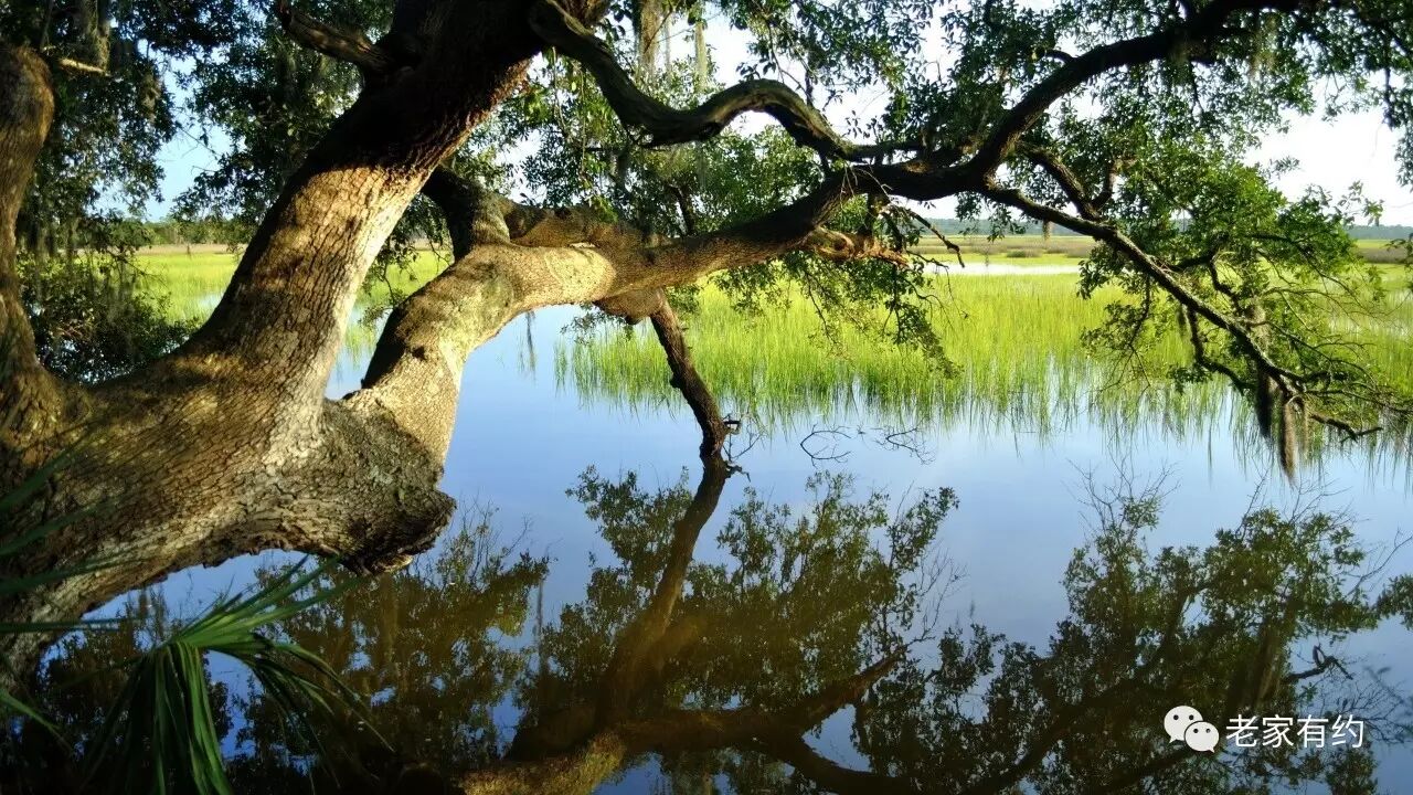 20170615214216_919cs5v1xf.png?v=1762008272744