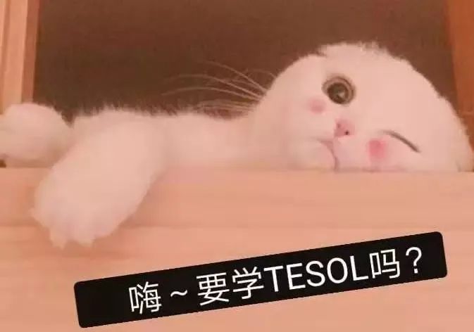 tesol是什么英语证书_英国tesol证书怎么考_美国tesol专业毕业了法证书