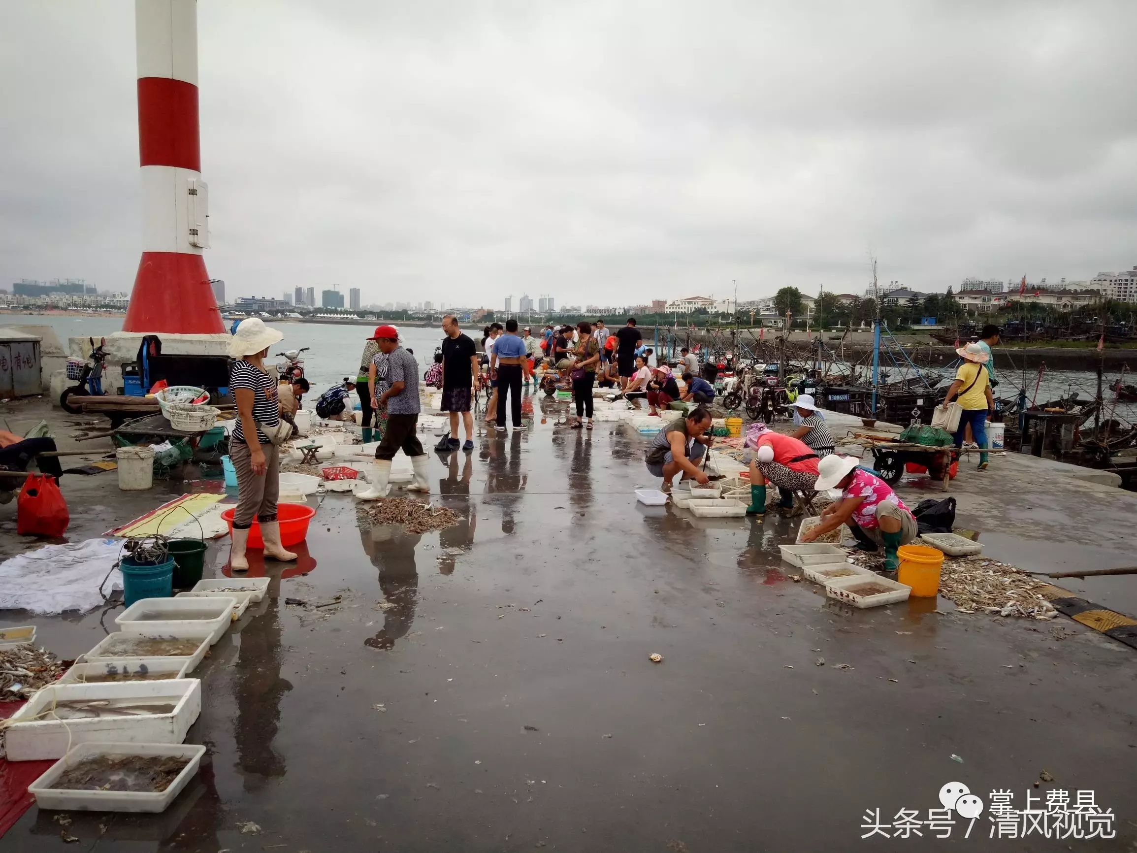 码头海鲜实惠新鲜吃货端着大盆狂买,费县小伙付款时却傻了眼!