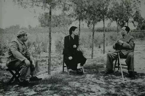 20171105204918_3jpr25bpxs.png?v=1761996154067