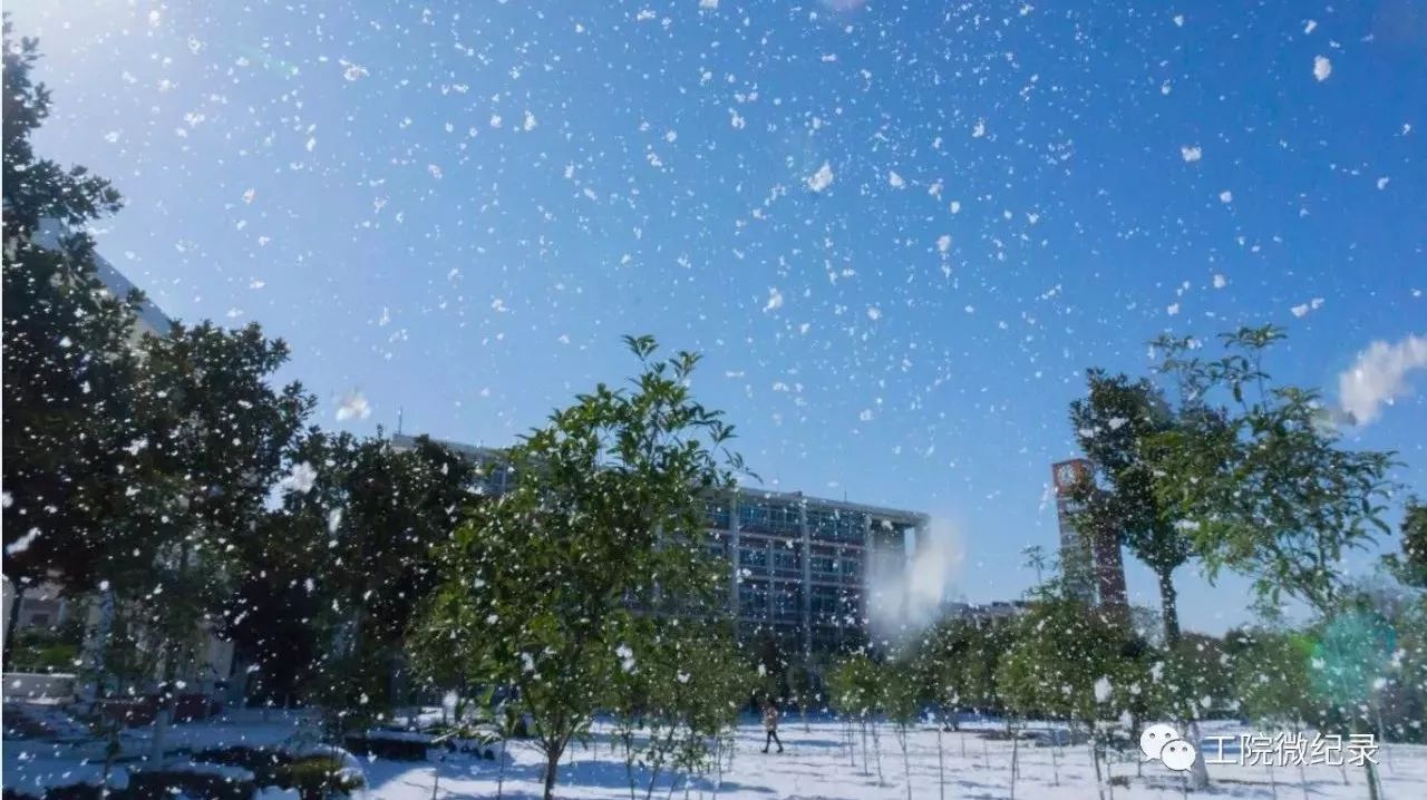 工院雪景