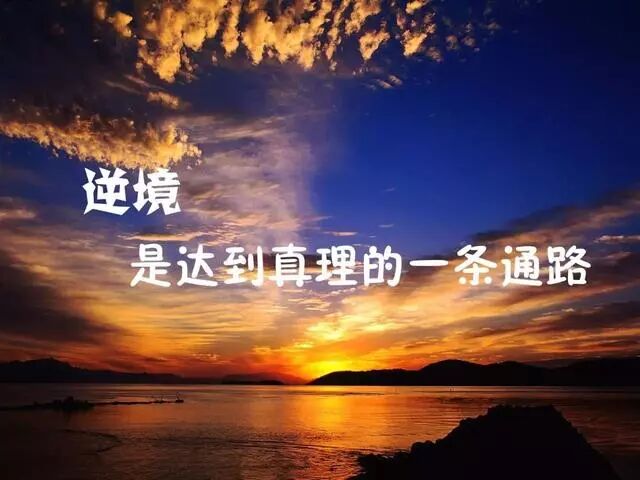 华莱家人周一早安励志图片句子：逆境使人成熟，绝境使人醒悟