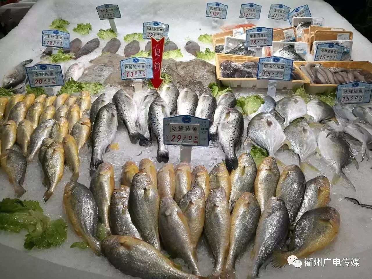 大润发超市依然有冰鲜海鲜和冰冻海鲜售卖,在浙江地区禁止销售的鱼类